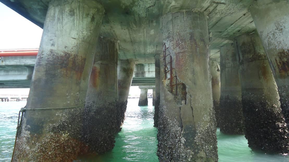 Pier piles showing concrete spalling and reinforcement corrosion, documented in the 2014 source report.
