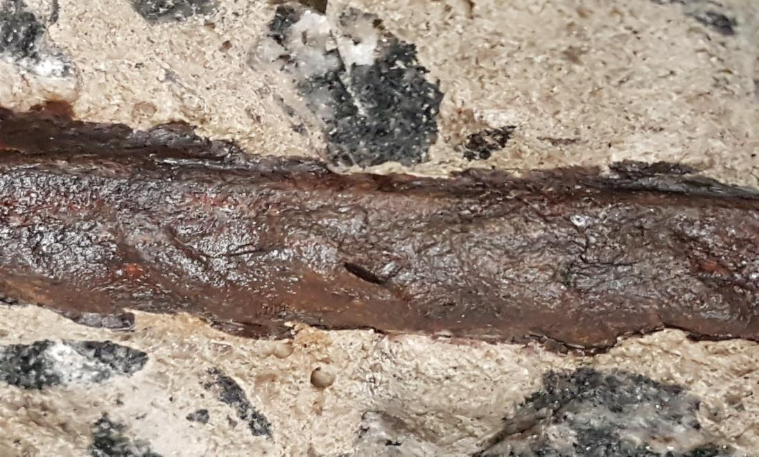 Corrosion products visible on reinforcing steel exposed during the Acqua Marine concrete investigation.