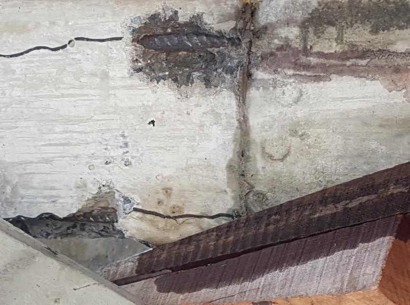 Existing condition of a reinforced-concrete column documented during the Acqua Marine investigation.